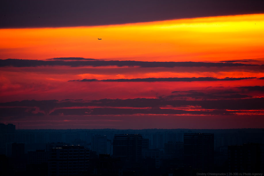 Домников.