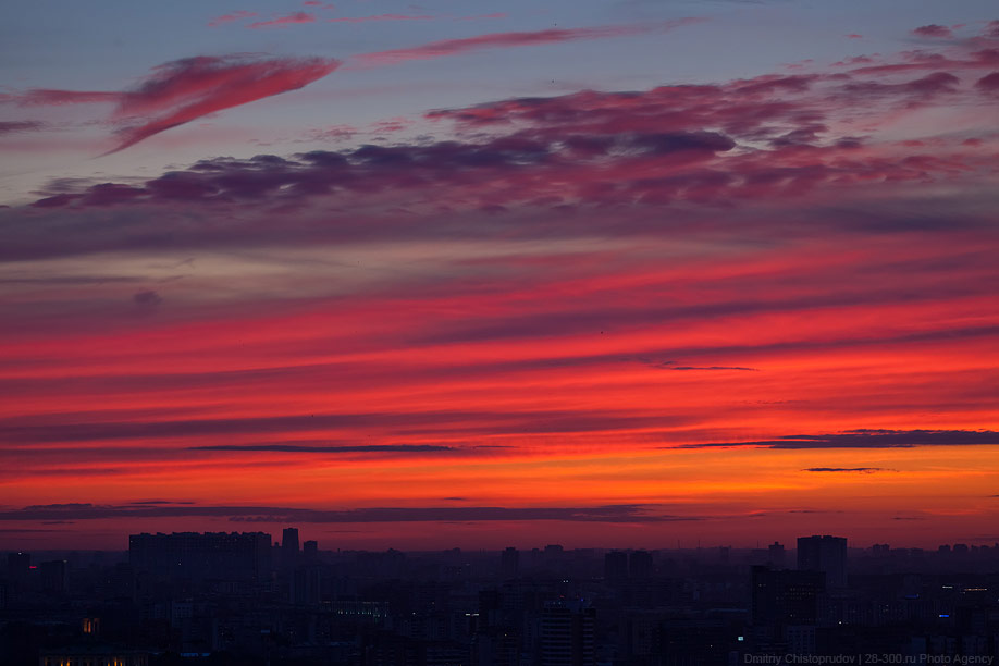 Домников.